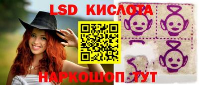 прущие грибы Абакан