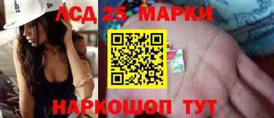 прущие грибы Абакан