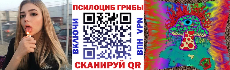 Галлюциногенные грибы Psilocybine cubensis  Алексин 
