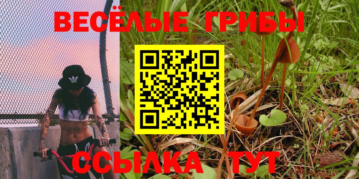 Галлюциногенные грибы MAGIC MUSHROOMS  Вход с VPN  Алексин  Галлюциногенные грибы Cubensis 