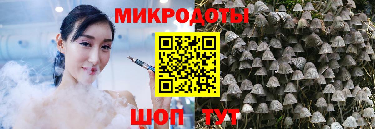 Галлюциногенные грибы Psilocybe Алексин